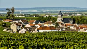 Personalized visit of the Champagne region