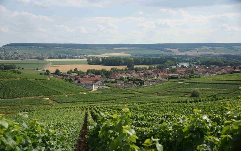 balade-gourmande-cumieres-1-2